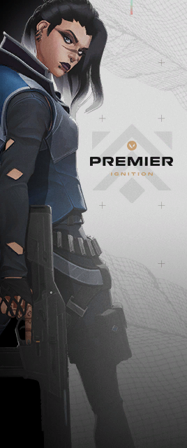 hyjinx player card