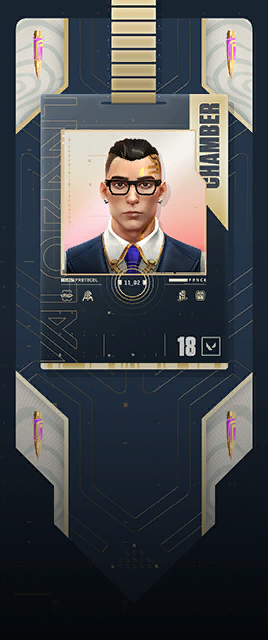 한국서버씹종결체임버장인홍마찌찌 player card