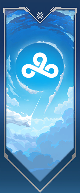 Brendanese player card